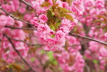 南京秦淮区6线下个人借款平台一站式服务，轻松解决资金难题