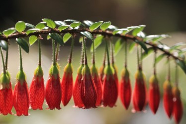 南京秦淮区6零用贷短借：轻松解决临时资金需求