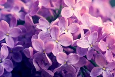 南京秦淮区6企业急用钱贷款攻略：快速融资解燃眉之急